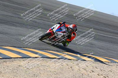 media/Jan-14-2024-SoCal Trackdays (Sun) [[2e55ec21a6]]/Bowl (11am)/